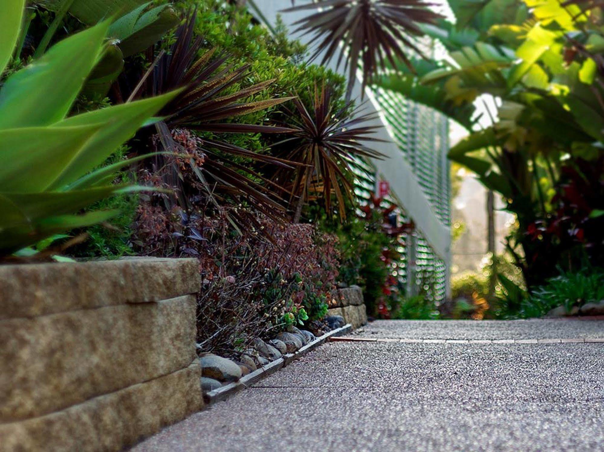 Avoca Palms Resort Terrigal Eksteriør billede